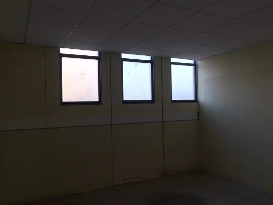 Immagine 20 di Capannone industriale in vendita  a Grosseto