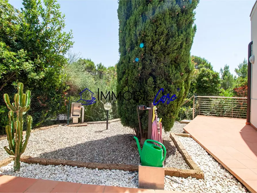 Immagine 44 di Casa indipendente in vendita  a Rosignano Marittimo