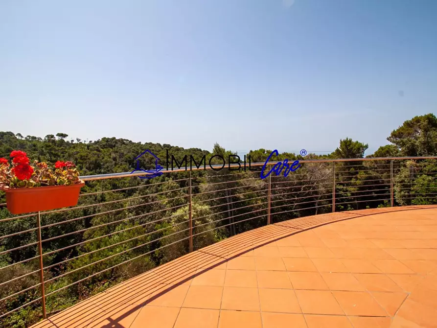 Immagine 11 di Casa indipendente in vendita  a Rosignano Marittimo