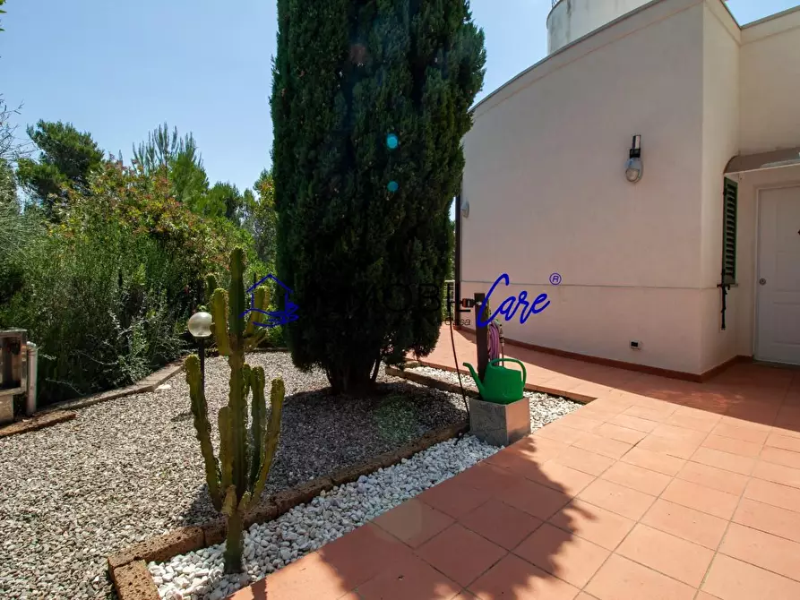 Immagine 42 di Casa indipendente in vendita  a Rosignano Marittimo