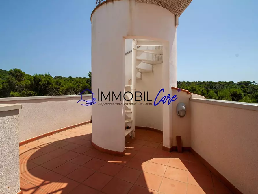 Immagine 45 di Casa indipendente in vendita  a Rosignano Marittimo