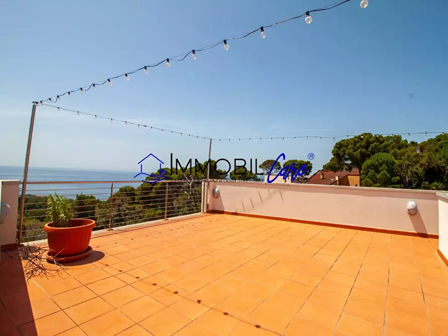 Immagine 46 di Casa indipendente in vendita  a Rosignano Marittimo