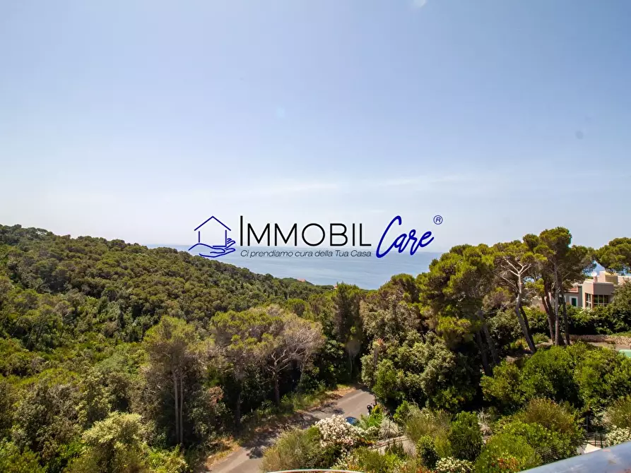 Immagine 47 di Casa indipendente in vendita  a Rosignano Marittimo