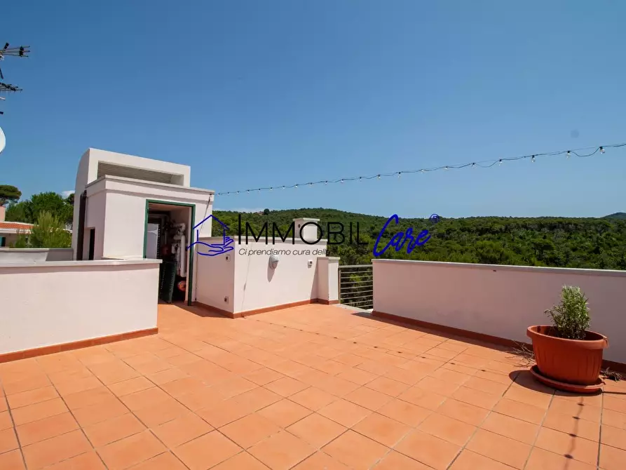 Immagine 48 di Casa indipendente in vendita  a Rosignano Marittimo