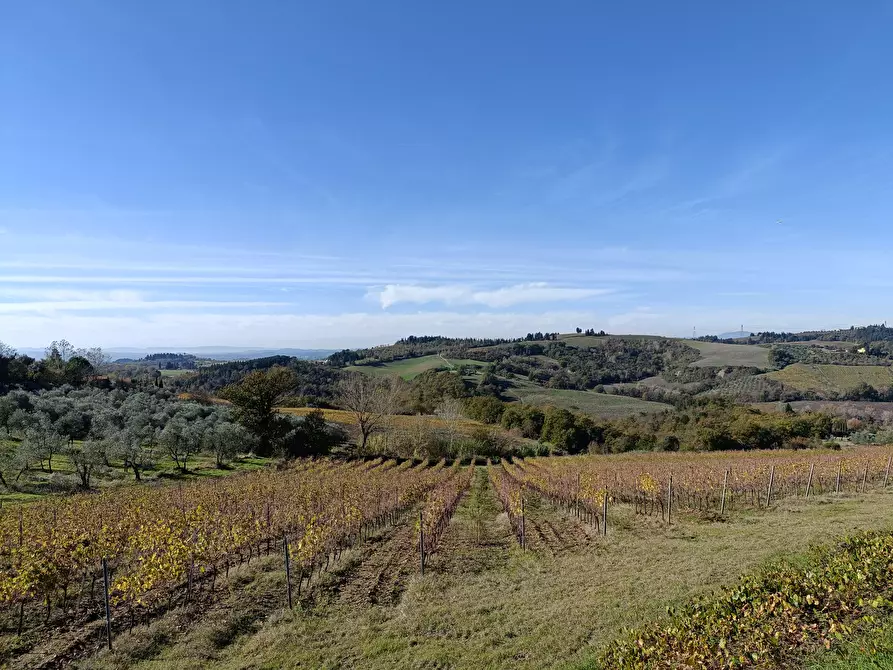 Immagine 11 di Villetta a schiera in vendita  a Montespertoli