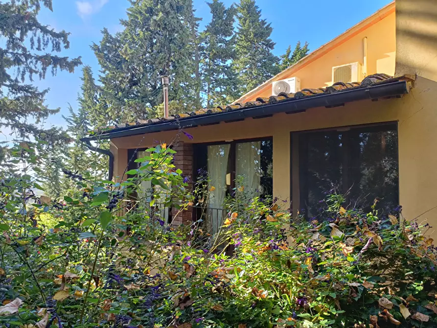 Immagine 4 di Villetta a schiera in vendita  a Montespertoli