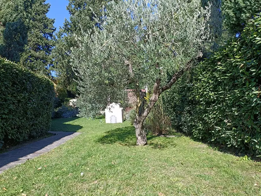 Immagine 43 di Villetta a schiera in vendita  a Montespertoli