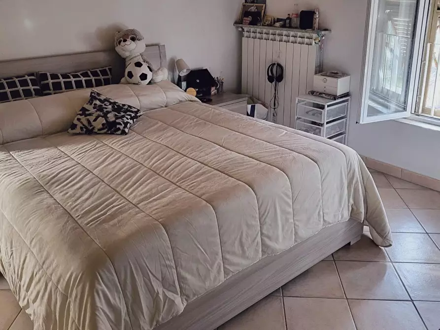 Immagine 16 di Appartamento in vendita  a Fauglia