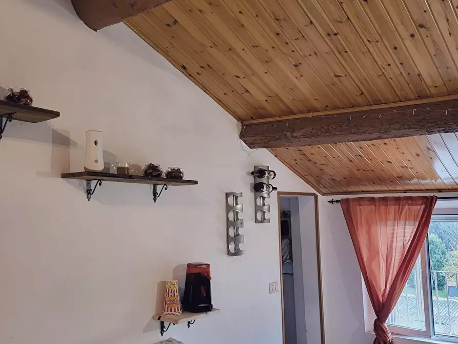 Immagine 11 di Appartamento in vendita  a Fauglia