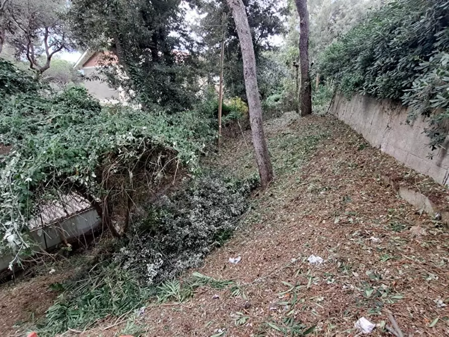 Immagine 20 di Appartamento in vendita  a Rosignano Marittimo