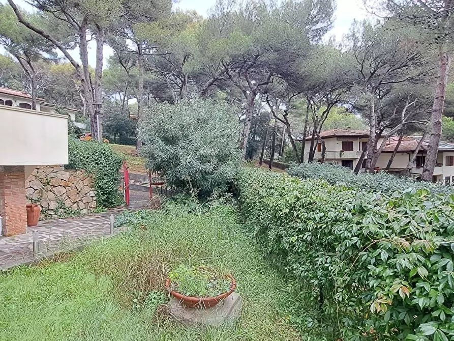 Immagine 3 di Appartamento in vendita  a Rosignano Marittimo