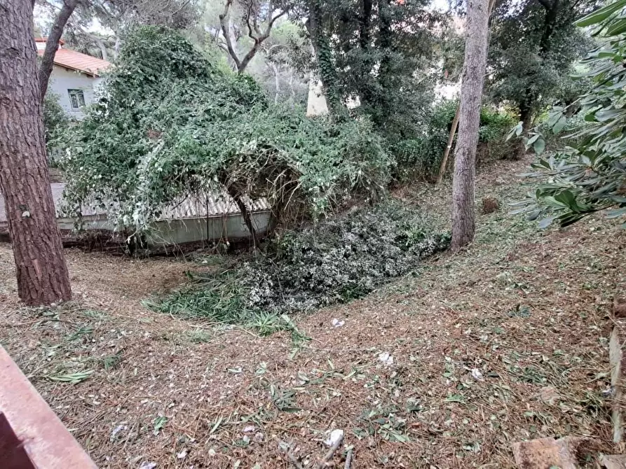 Immagine 21 di Appartamento in vendita  a Rosignano Marittimo