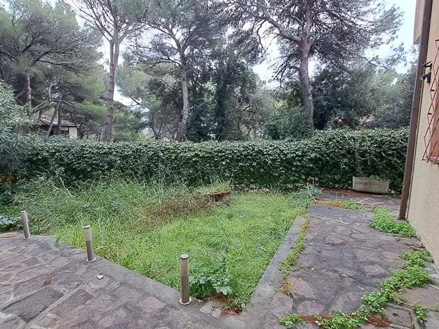 Immagine 19 di Appartamento in vendita  a Rosignano Marittimo