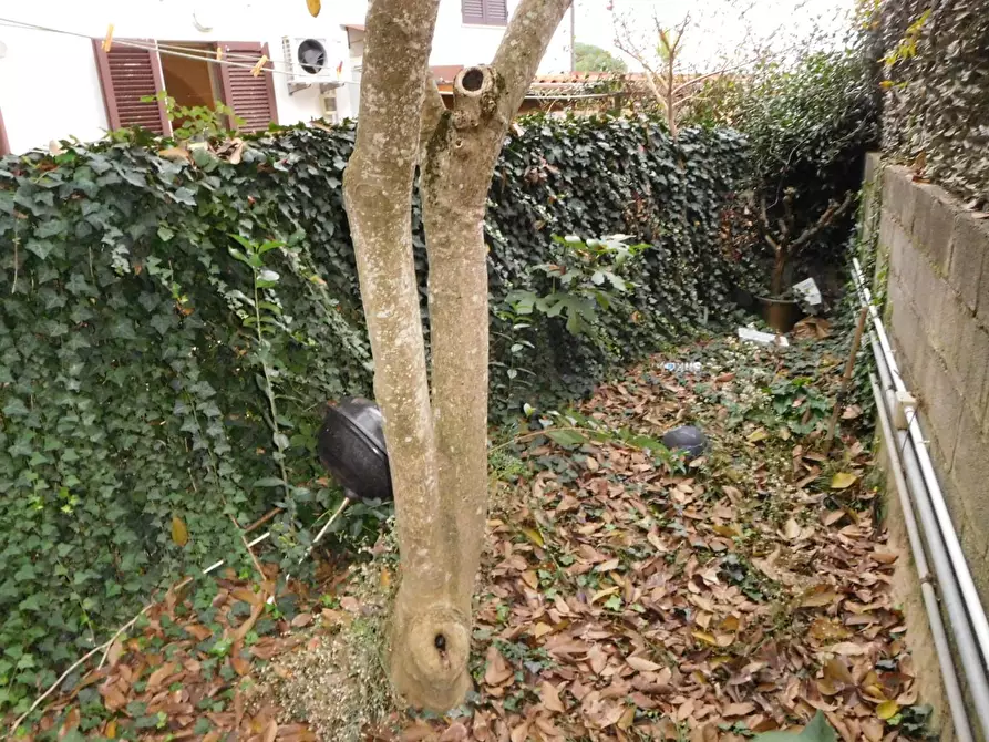 Immagine 20 di Villetta a schiera in vendita  a Pontedera