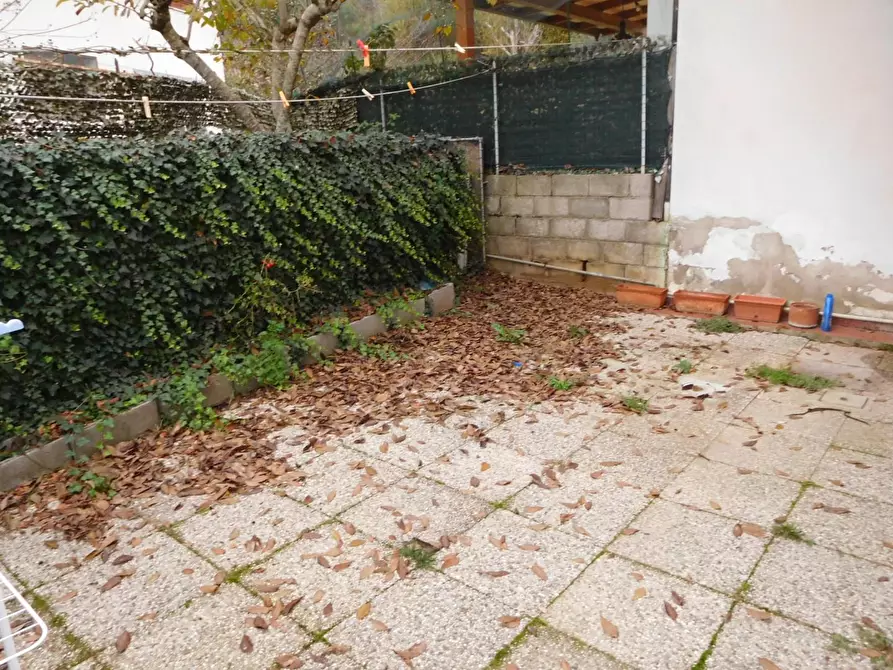 Immagine 18 di Villetta a schiera in vendita  a Pontedera