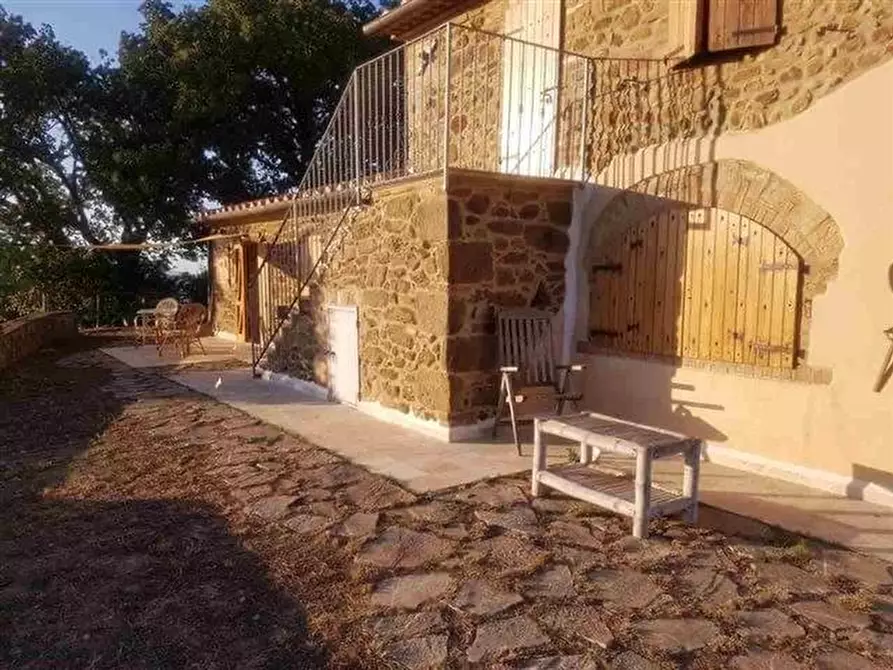 Immagine 8 di Casa colonica in vendita  a Roccalbegna
