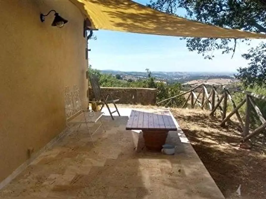 Immagine 2 di Casa colonica in vendita  a Roccalbegna