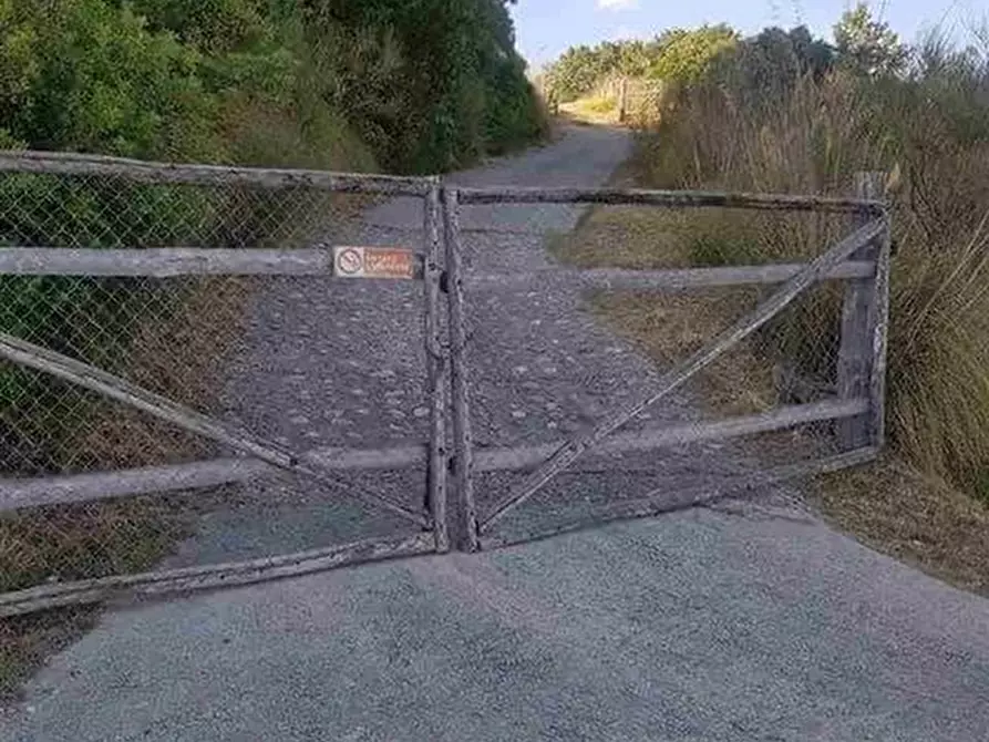 Immagine 9 di Casa colonica in vendita  a Roccalbegna
