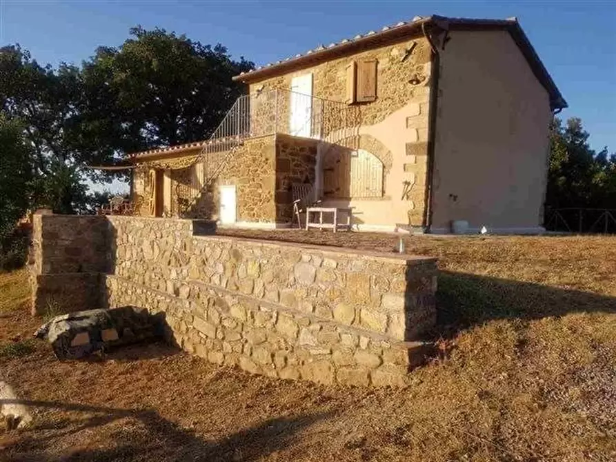 Immagine 24 di Casa colonica in vendita  a Roccalbegna