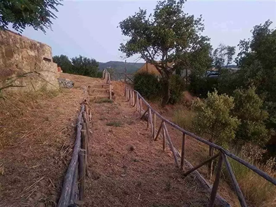 Immagine 4 di Casa colonica in vendita  a Roccalbegna