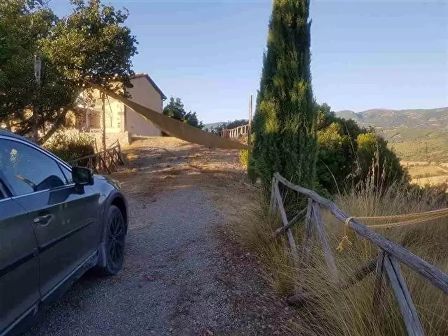 Immagine 7 di Casa colonica in vendita  a Roccalbegna