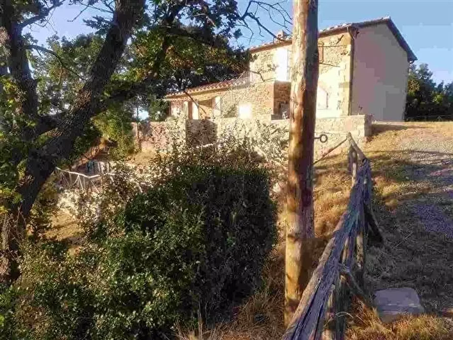 Immagine 10 di Casa colonica in vendita  a Roccalbegna