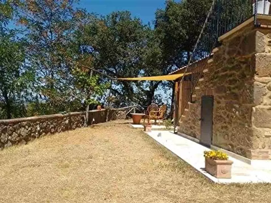 Immagine 11 di Casa colonica in vendita  a Roccalbegna