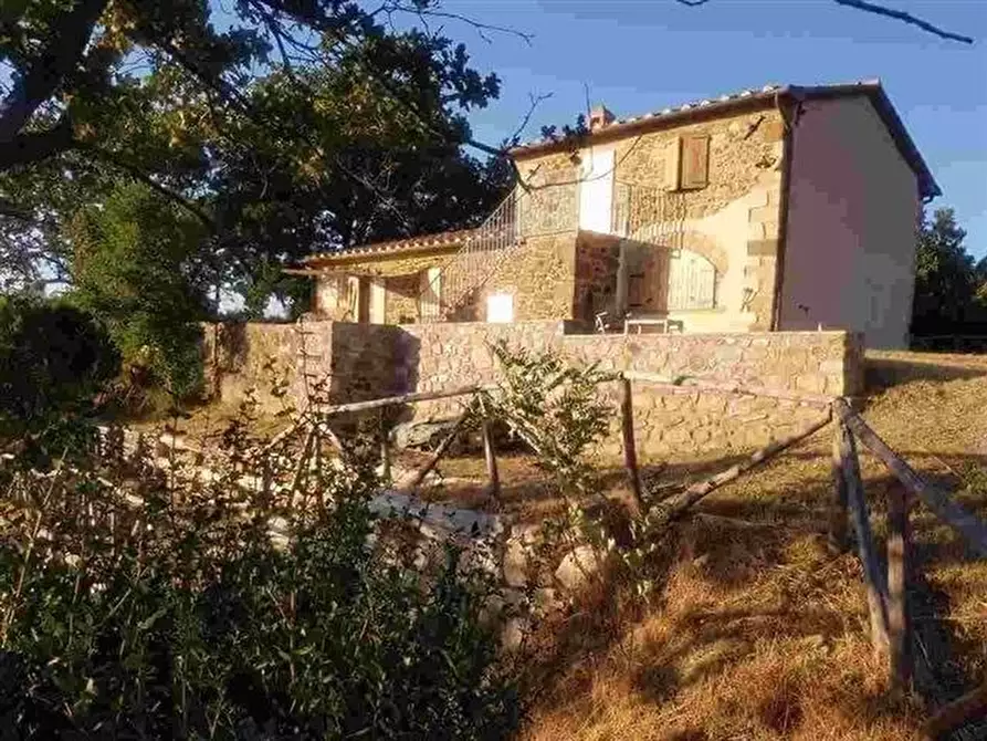 Immagine 25 di Casa colonica in vendita  a Roccalbegna