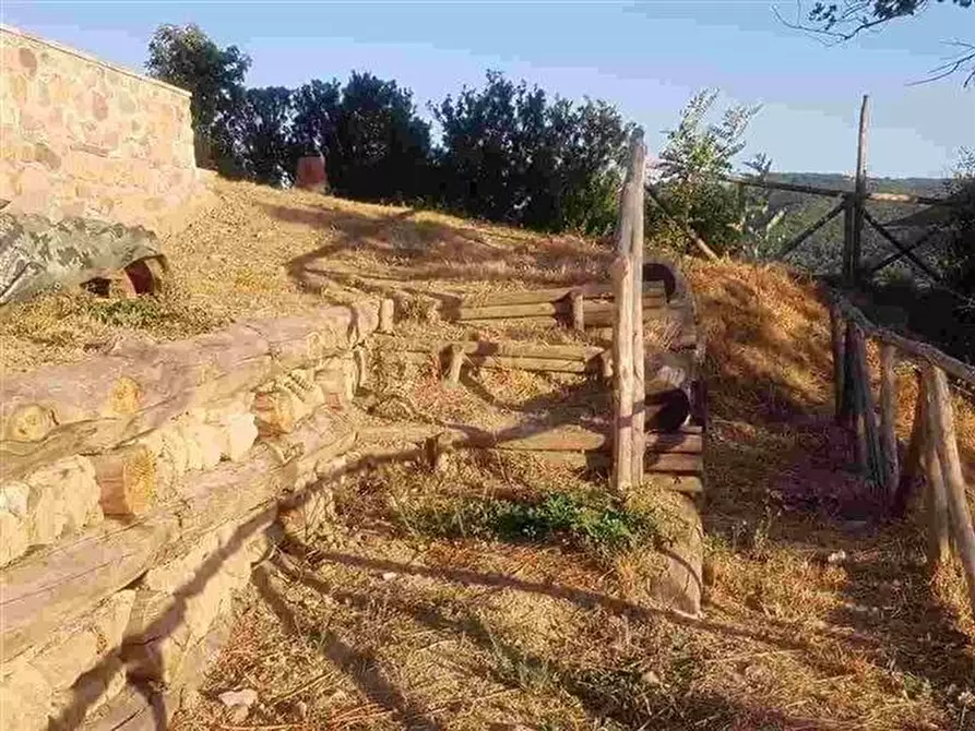 Immagine 23 di Casa colonica in vendita  a Roccalbegna