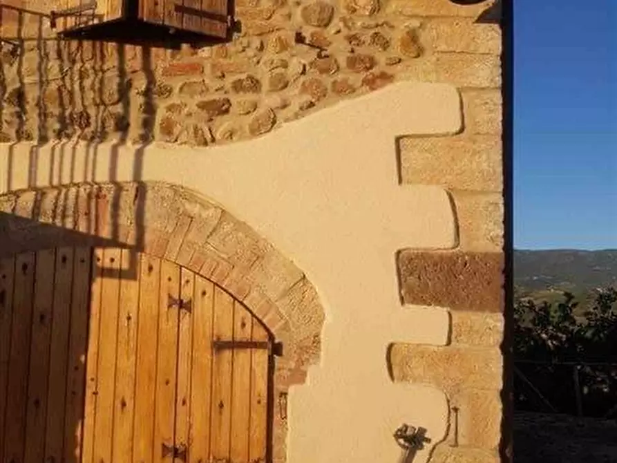 Immagine 5 di Casa colonica in vendita  a Roccalbegna