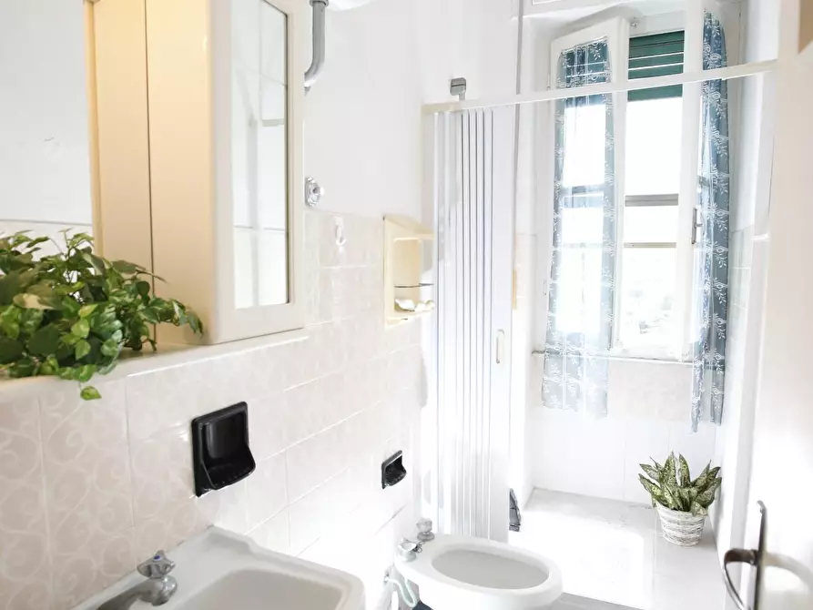 Immagine 26 di Appartamento in vendita  a Collesalvetti