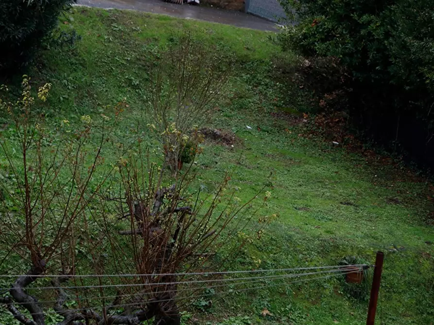 Immagine 28 di Appartamento in vendita  a Collesalvetti