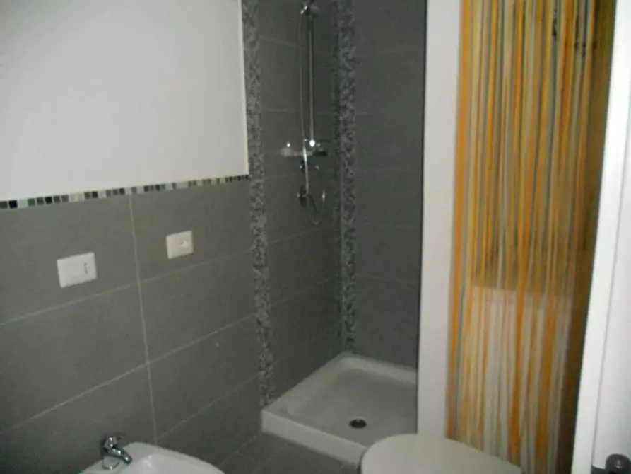 Immagine 17 di Appartamento in vendita  a Arcola