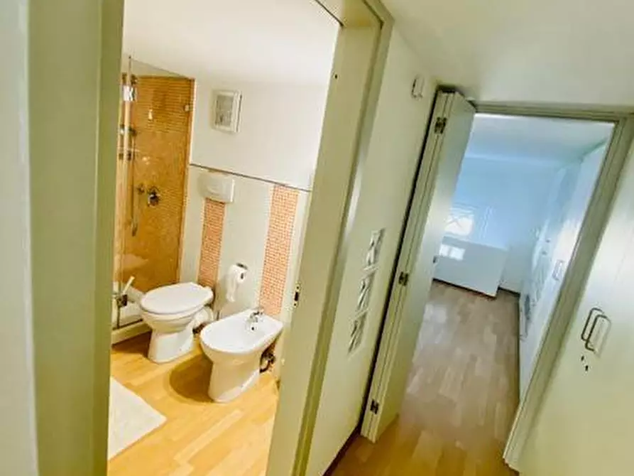 Immagine 16 di Appartamento in affitto  a Pisa