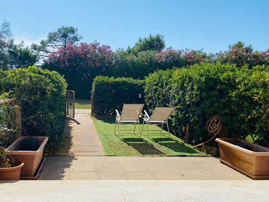 Immagine 3 di Appartamento in affitto  a Pisa