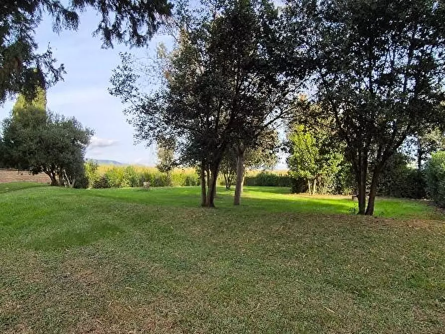 Immagine 11 di Casa trifamiliare in vendita  a Campiglia Marittima