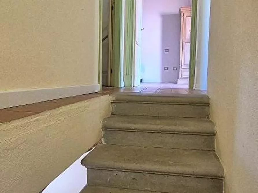 Immagine 31 di Casa trifamiliare in vendita  a Campiglia Marittima