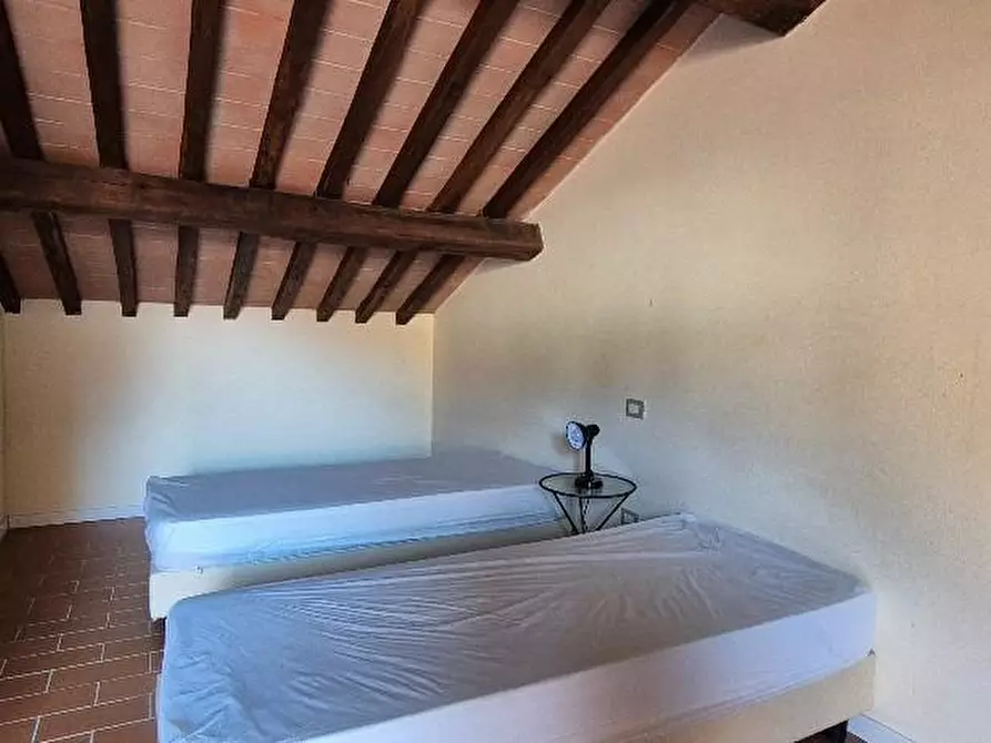 Immagine 37 di Casa trifamiliare in vendita  a Campiglia Marittima