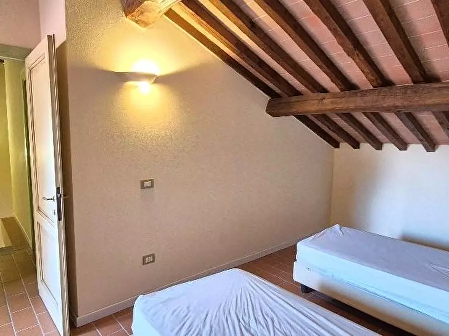 Immagine 38 di Casa trifamiliare in vendita  a Campiglia Marittima