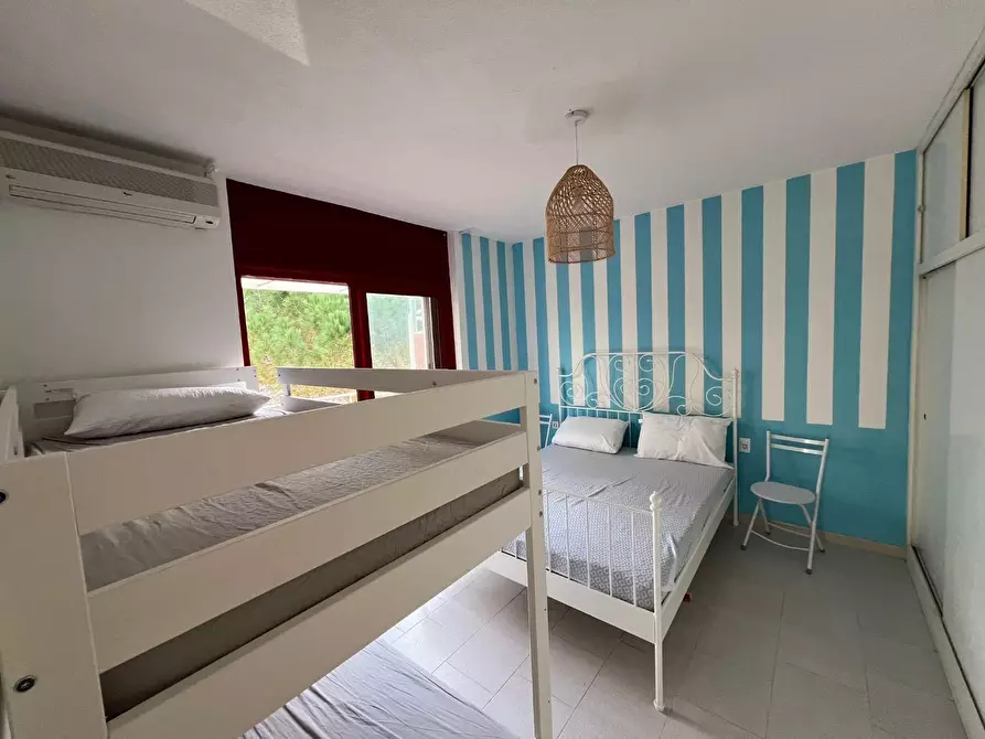 Immagine 11 di Appartamento in vendita  a Bibbona