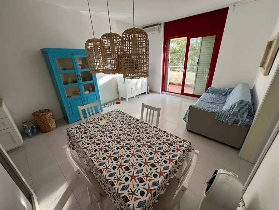 Immagine 1 di Appartamento in vendita  a Bibbona