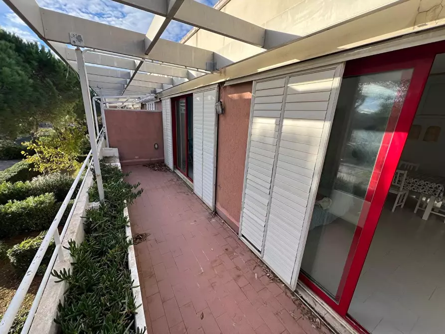 Immagine 2 di Appartamento in vendita  a Bibbona