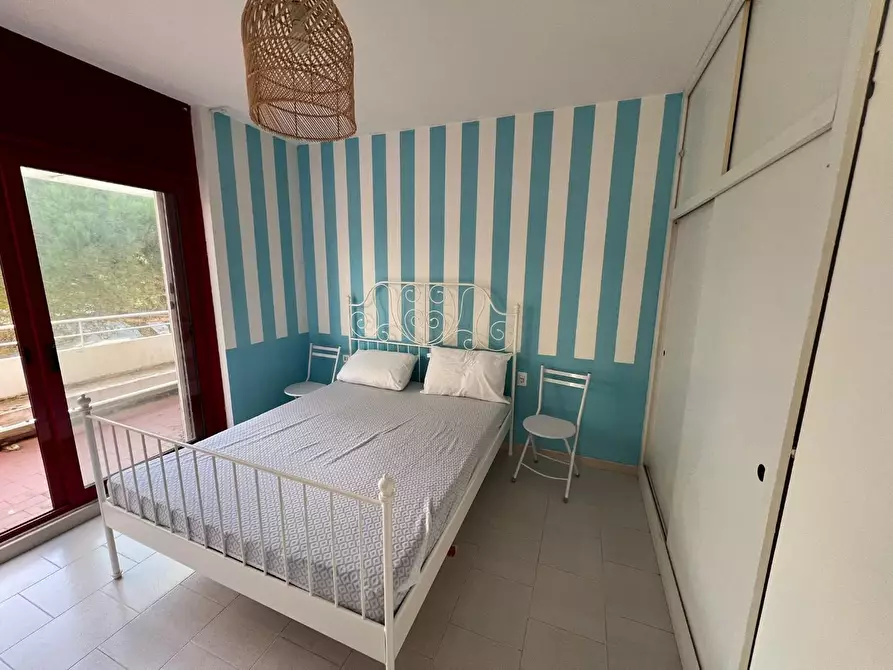 Immagine 12 di Appartamento in vendita  a Bibbona