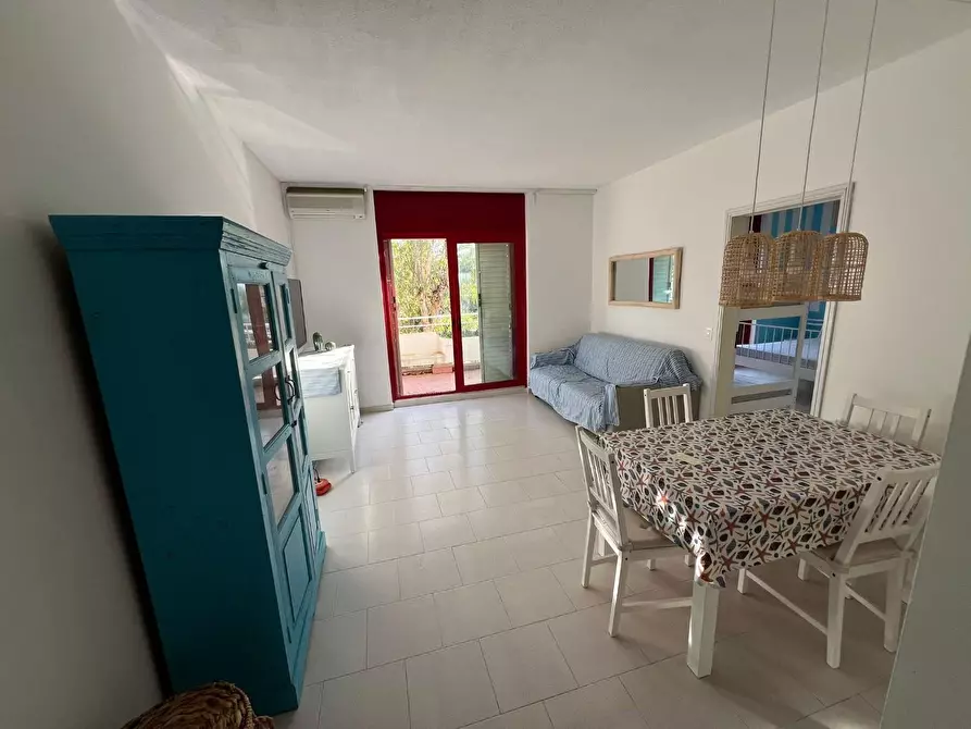 Immagine 7 di Appartamento in vendita  a Bibbona