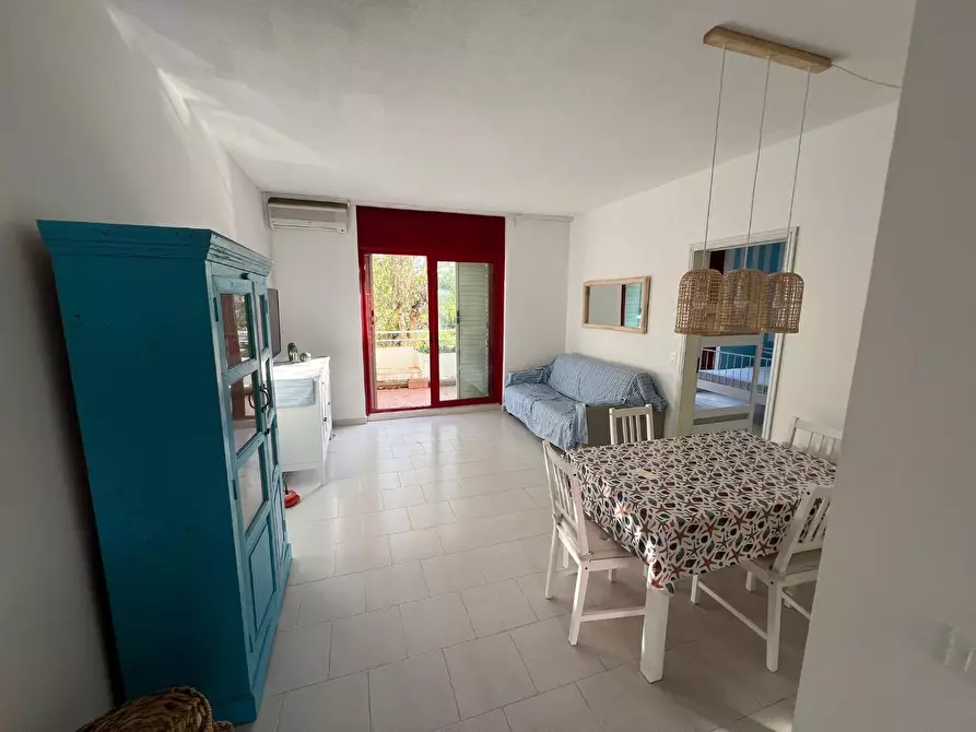 Immagine 5 di Appartamento in vendita  a Bibbona