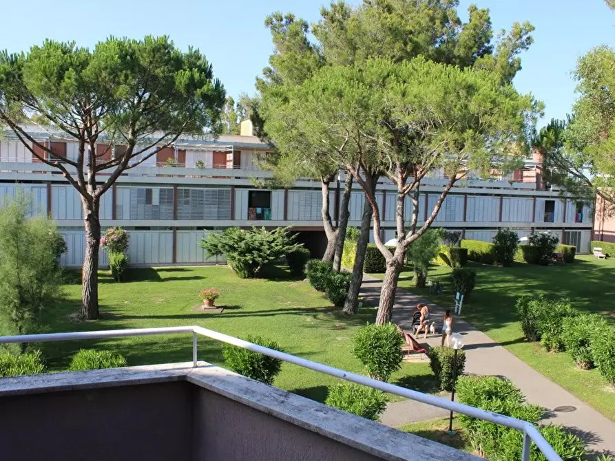 Immagine 17 di Appartamento in vendita  a Bibbona