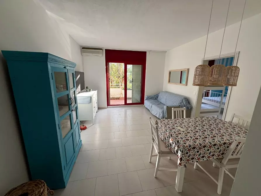 Immagine 10 di Appartamento in vendita  a Bibbona