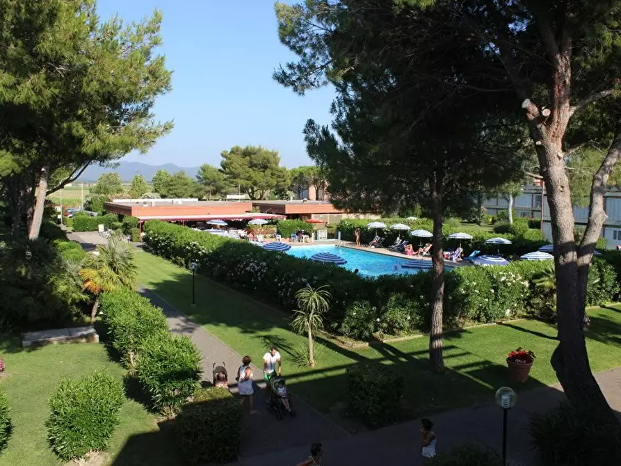 Immagine 15 di Appartamento in vendita  a Bibbona