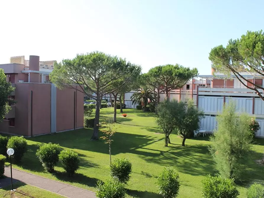 Immagine 16 di Appartamento in vendita  a Bibbona