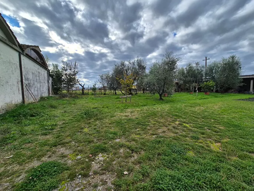 Immagine 13 di Casa indipendente in vendita  a Larciano